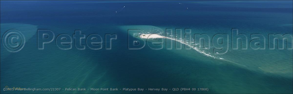 Peter Bellingham Photography Pelican Bank - Moon Point Bank - Platypus Bay - Hervey Bay - QLD (PBH4 00 17868)